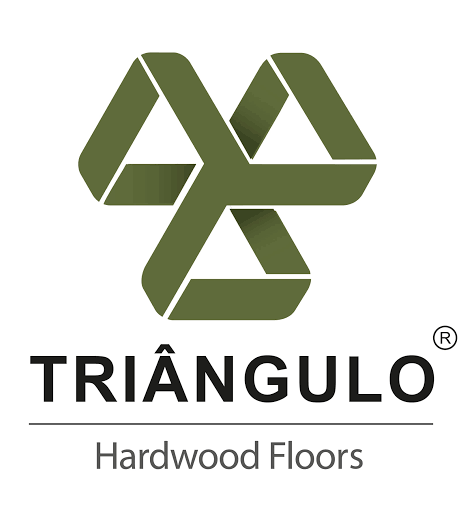 triangulo logo
