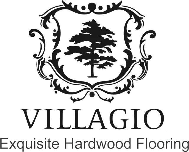 villagio logo